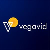 vegavidtechnology